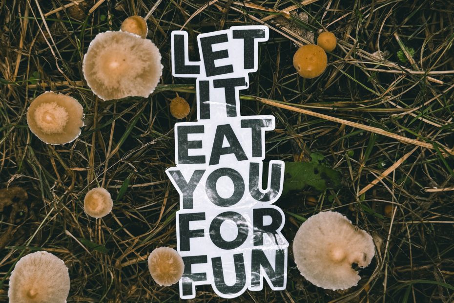 Let It Eat You For Fun Releases Debut Album “Upon the Forest Floor”